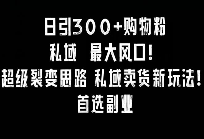 日引300+购物粉，超级裂变思路，私域卖货新玩法，小红书首选副业【揭秘】-网创资源