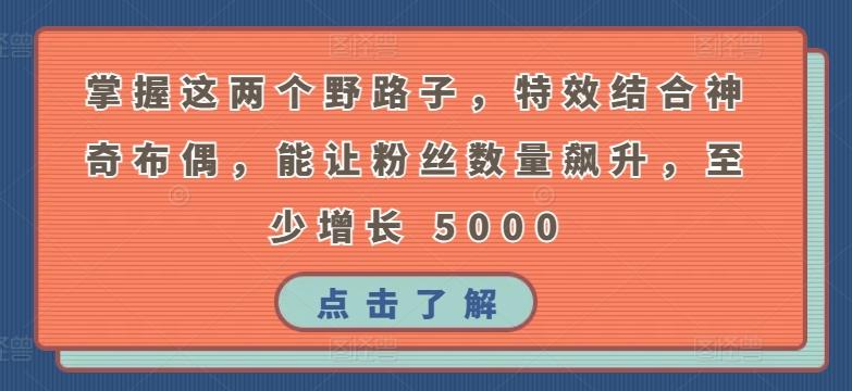 掌握这两个野路子，特效结合神奇布偶，能让粉丝数量飙升，至少增长 5000【揭秘】-网创资源