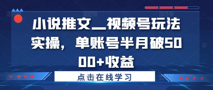 小说推文—视频号玩法实操，单账号半月破5000+收益-网创资源