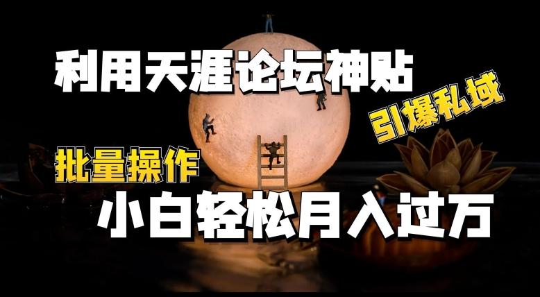 利用天涯论坛神贴，引爆私域，批量操作，小白轻松月入过w【揭秘】-网创资源