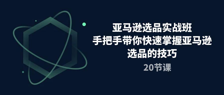 亚马逊选品实战班，手把手带你快速掌握亚马逊选品的技巧(20节课-网创资源