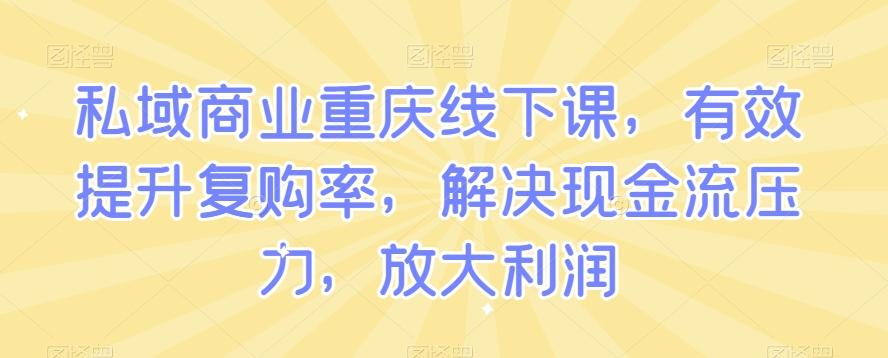 私域商业重庆线下课，有效提升复购率，解决现金流压力，放大利润-网创资源