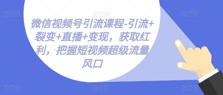 微信视频号引流课程-引流+裂变+直播+变现，获取红利，把握短视频超级流量风口-网创资源