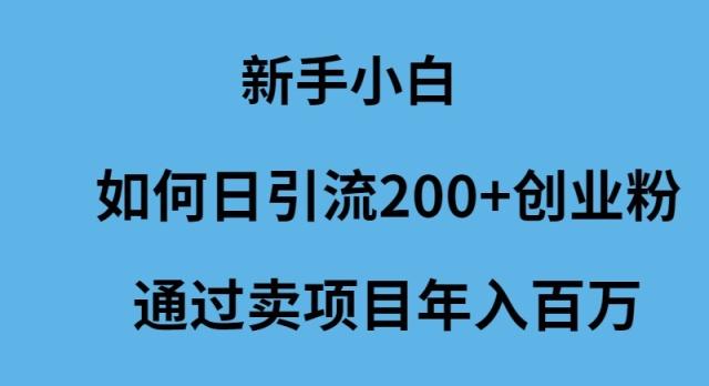 (9668期)新手小白如何日引流200+创业粉通过卖项目年入百万-网创资源