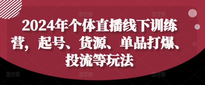 2024年个体直播训练营，起号、货源、单品打爆、投流等玩法-网创资源