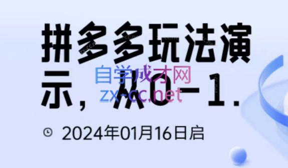 吴老师·拼多多从选品到截流到付费的玩法技巧-网创资源