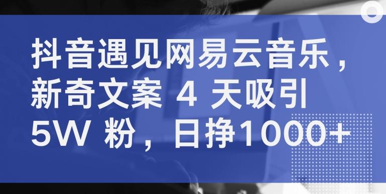 抖音遇见网易云音乐，新奇文案 4 天吸引 5W 粉，日挣1000+【揭秘】-网创资源