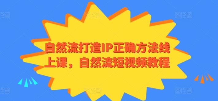 自然流打造IP正确方法线上课，自然流短视频教程-网创资源
