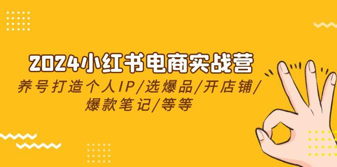 2024小红书电商实战营，养号打造IP/选爆品/开店铺/爆款笔记/等等(24节)-网创资源