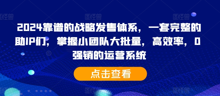 2024靠谱的战略发售体系，一套完整的助IP们，掌握小团队大批量，高效率，0 强销的运营系统-网创资源