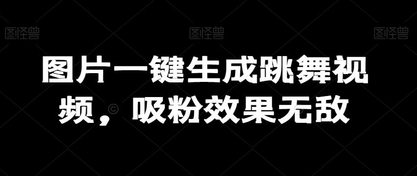 图片一键生成跳舞视频，吸粉效果无敌-网创资源