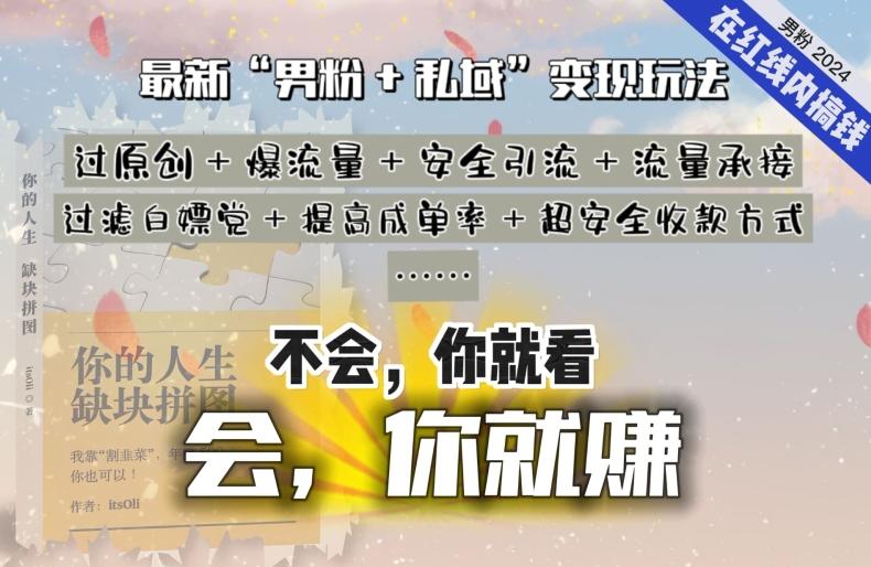 2024，“男粉+私域”还是最耐造、最赚、最轻松、最愉快的变现方式【揭秘】-网创资源