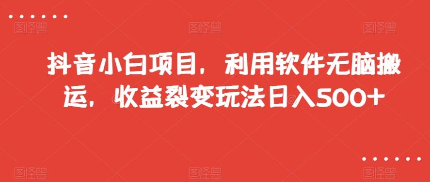 抖音小白项目，利用软件无脑搬运，收益裂变玩法日入500+【揭秘】-网创资源