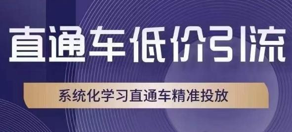 直通车低价引流课，系统化学习直通车精准投放-网创资源