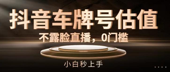 抖音车牌号估值，不露脸直播，0门槛，小白秒上手【揭秘】-网创资源
