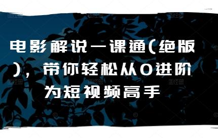 电影解说一课通(绝版)，带你轻松从0进阶为短视频高手-网创资源