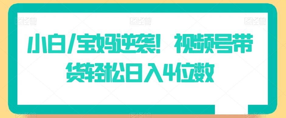 小白/宝妈逆袭！视频号带货轻松日入4位数【揭秘】-网创资源