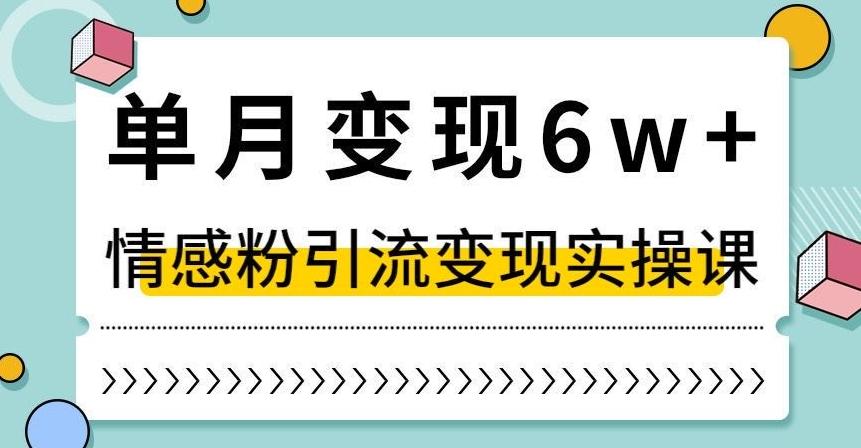 单月变现6W+，抖音情感粉引流变现实操课，小白可做，轻松上手，独家赛道【揭秘】-网创资源