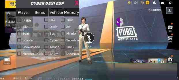 PUBG轻量老外裸奔绘制+自瞄 支持ROOT和框架 里面有全局离线-网创资源