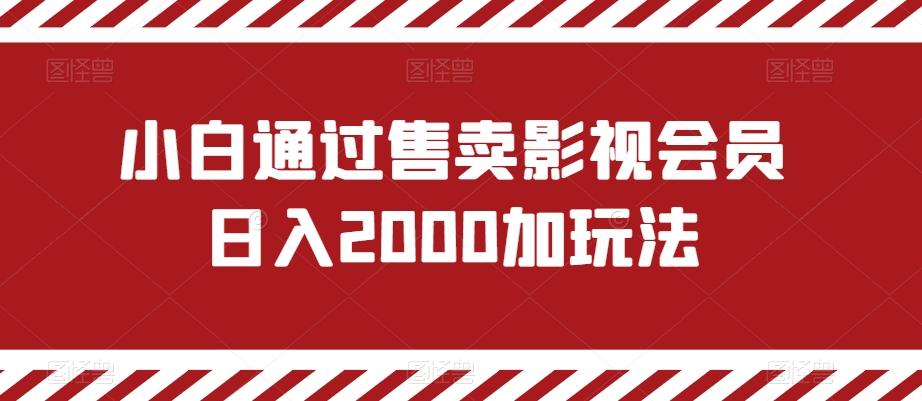 小白通过售卖影视会员日入2000加玩法-网创资源