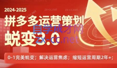 大力老师·2024拼多多运营策略蜕变3.0-网创资源