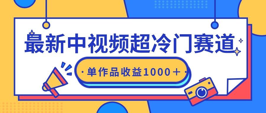 (9275期)最新中视频超冷门赛道，轻松过原创，单条视频收益1000＋-网创资源