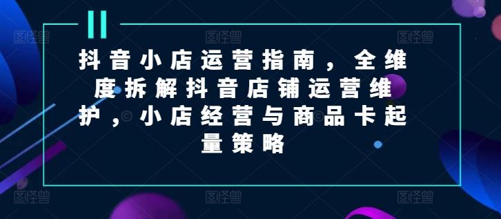 抖音小店运营指南，全维度拆解抖音店铺运营维护，小店经营与商品卡起量策略-网创资源