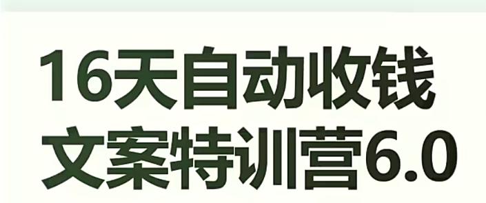 16天自动收钱文案特训营6.0，学会儿每天自动咔咔收钱-网创资源
