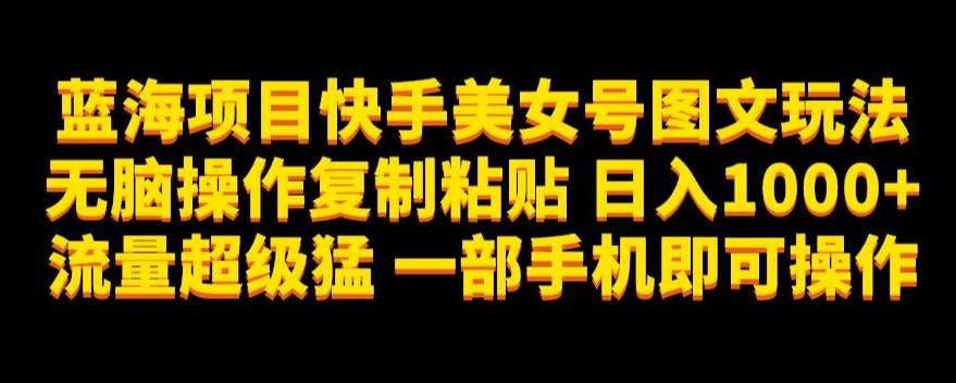 蓝海项目快手美女号图文玩法，无脑操作复制粘贴，日入1000+流量超级猛一部手机即可操作【揭秘】-网创资源