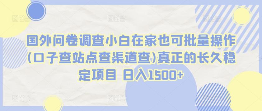 国外问卷调查小白在家也可批量操作(口子查站点查渠道查)真正的长久稳定项目 日入1500+【揭秘】-网创资源