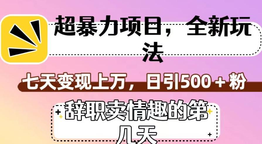 超暴利项目，全新玩法（辞职卖情趣的第几天），七天变现上万，日引500+粉【揭秘】-网创资源