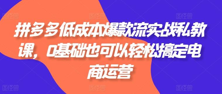 拼多多低成本爆款流实战私教课，0基础也可以轻松搞定电商运营-网创资源