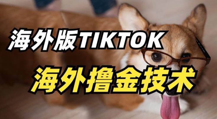 抖音海外版tiktok撸金技术，这个风口行业，赚钱真的不难【揭秘】-网创资源