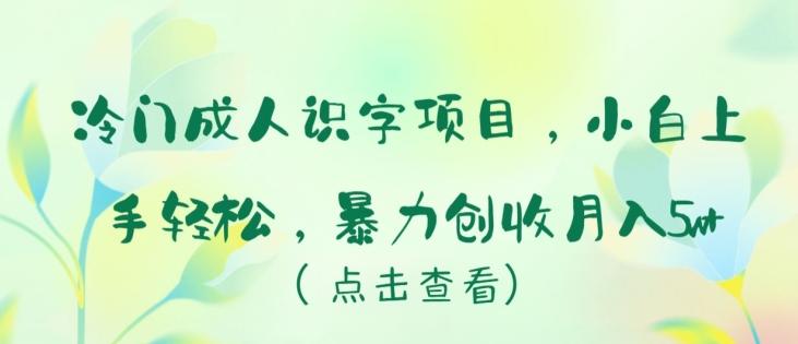 冷门成人识字项目，小白上手轻松，暴力创收月入5w+【揭秘】-网创资源