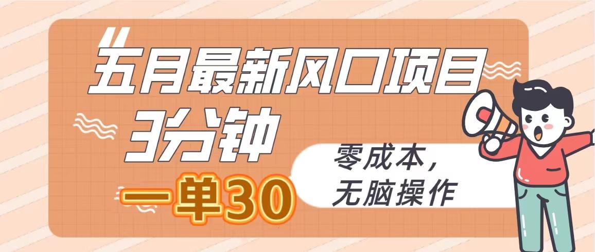 五月最新风口项目，3分钟一单30，零成本，无脑操作-网创资源