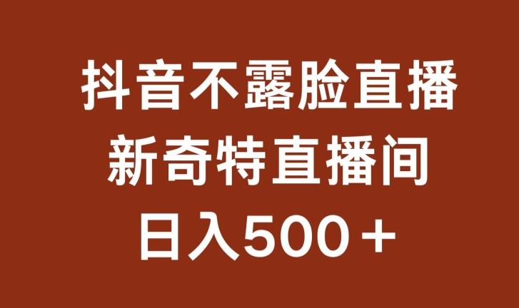 不露脸挂机直播，新奇特直播间，日入500+【揭秘】-网创资源