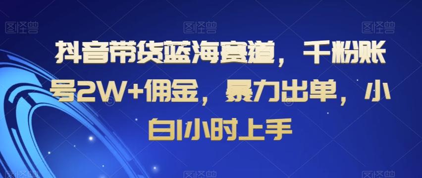 抖音带货蓝海赛道，千粉账号2W+佣金，暴力出单，小白1小时上手【揭秘】-网创资源