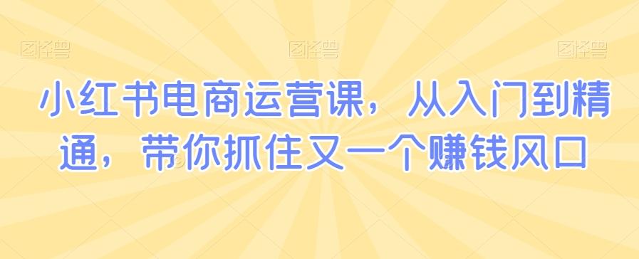 小红书电商运营课，从入门到精通，带你抓住又一个赚钱风口-网创资源