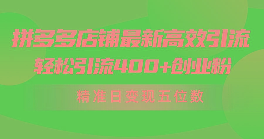 (10041期)拼多多店铺最新高效引流术，轻松引流400+创业粉，精准日变现五位数！-网创资源