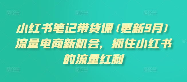 小红书笔记带货课(更新9月)流量电商新机会，抓住小红书的流量红利-网创资源
