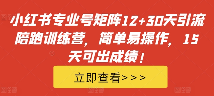 小红书专业号矩阵12+30天引流陪跑训练营，简单易操作，15天可出成绩!-网创资源