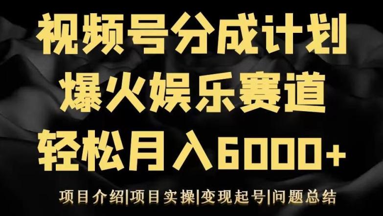 视频号创作分成计划之娱乐赛道轻松日入500+-网创资源