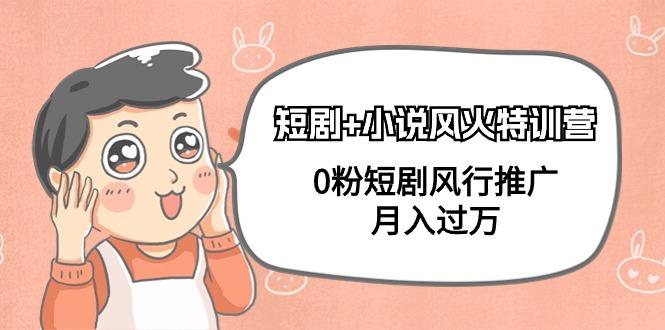 (9374期)短剧+小说风火特训营，0粉短剧风行推广，月入过万(102节课)-网创资源