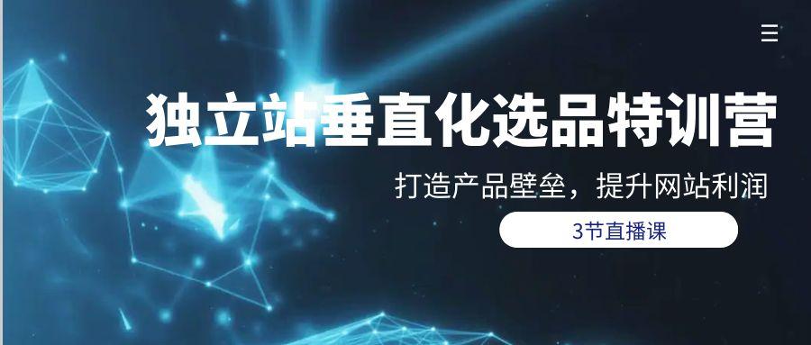 (9925期)独立站-垂直化选品训练营，打造产品壁垒，提升网站利润(3节直播课)-网创资源