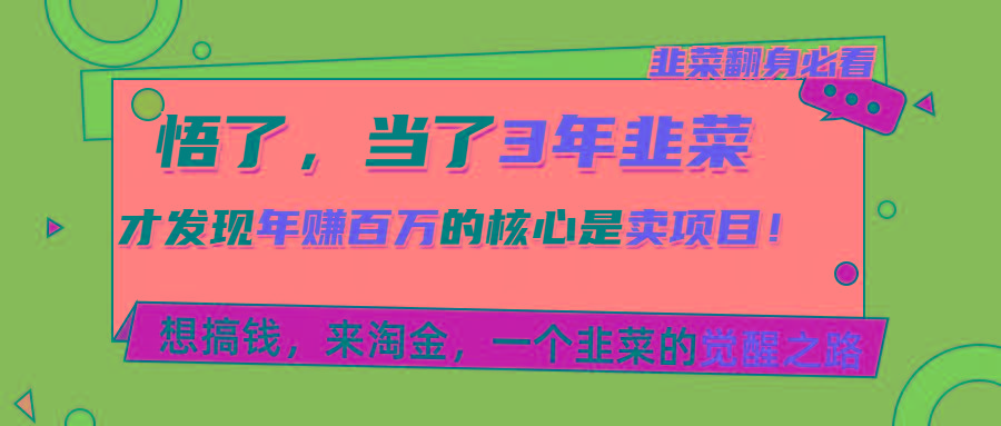 悟了，当了3年韭菜，才发现网赚圈年赚100万的核心是卖项目，含泪分享！-网创资源