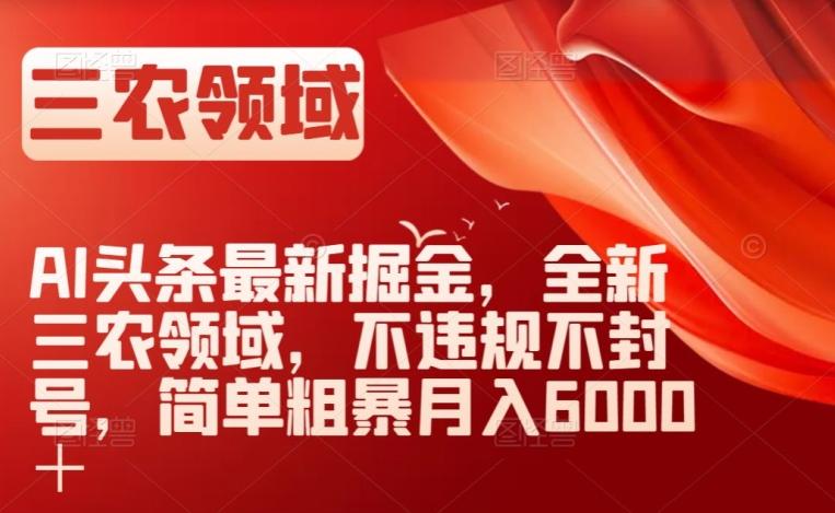 AI头条最新掘金，全新三农领域，不违规不封号，简单粗暴月入6000＋【揭秘】-网创资源