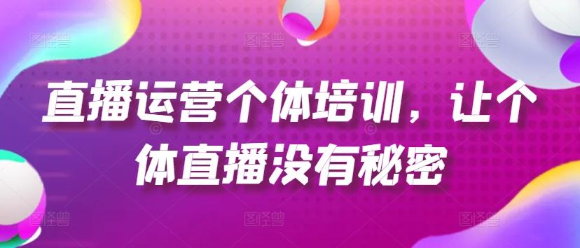 直播运营个体培训，让个体直播没有秘密，起号、货源、单品打爆、投流等玩法-网创资源