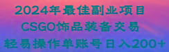 2024年最佳副业项目 CSGO饰品装备交易 轻易操作单账号日入200+-网创资源