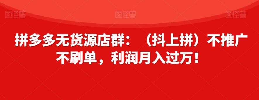 拼多多无货源店群：（抖上拼）不推广不刷单，利润月入过万！【揭秘】-网创资源