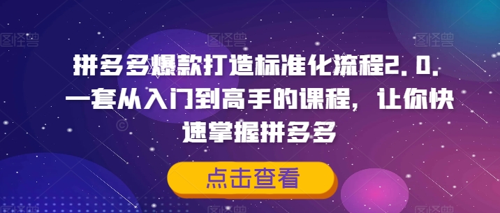 拼多多爆款打造标准化流程2.0，一套从入门到高手的课程，让你快速掌握拼多多-网创资源